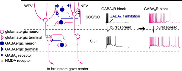 Figure 13.