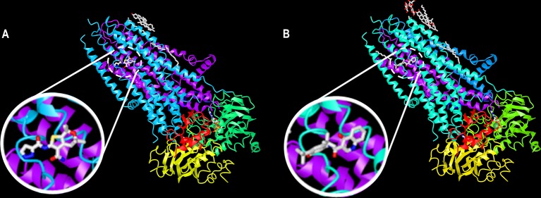 Figure 7