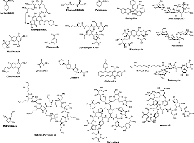 graphic file with name nihms-1586039-t0004.jpg