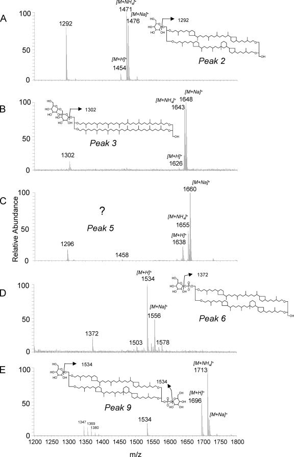 FIG. 4.