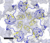 Fig 5