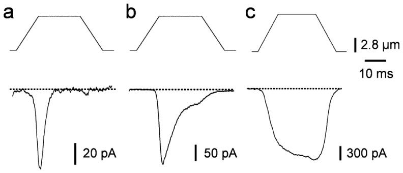 Figure 2.