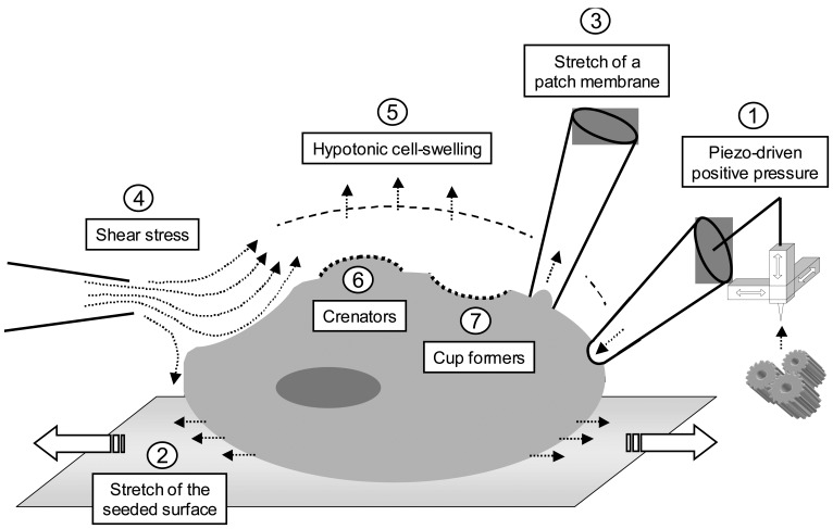 Figure 1.