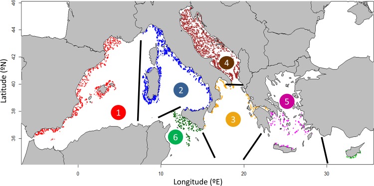 Fig 1