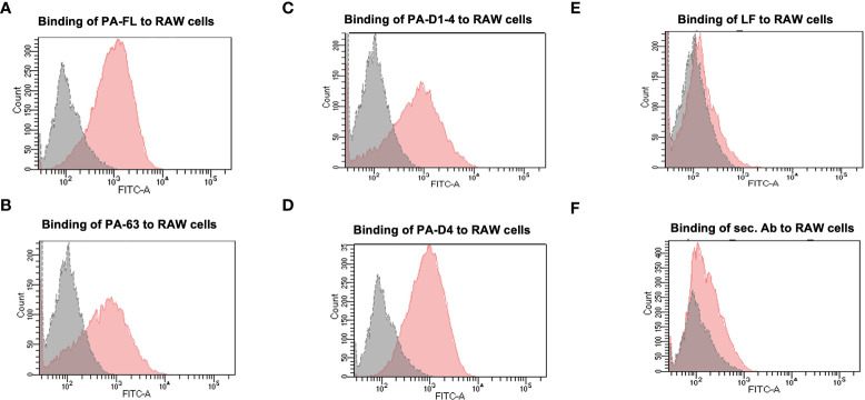 Figure 2