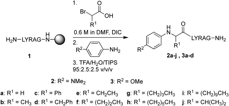 Scheme 3