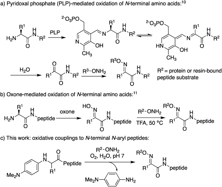 Scheme 2