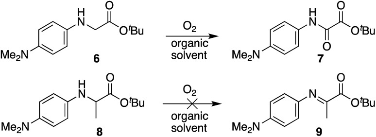 Scheme 5