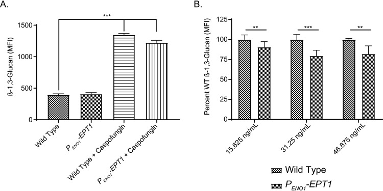 FIG 6