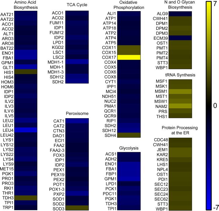 FIG 4