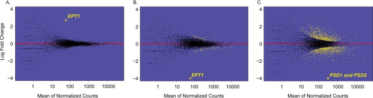 FIG 2