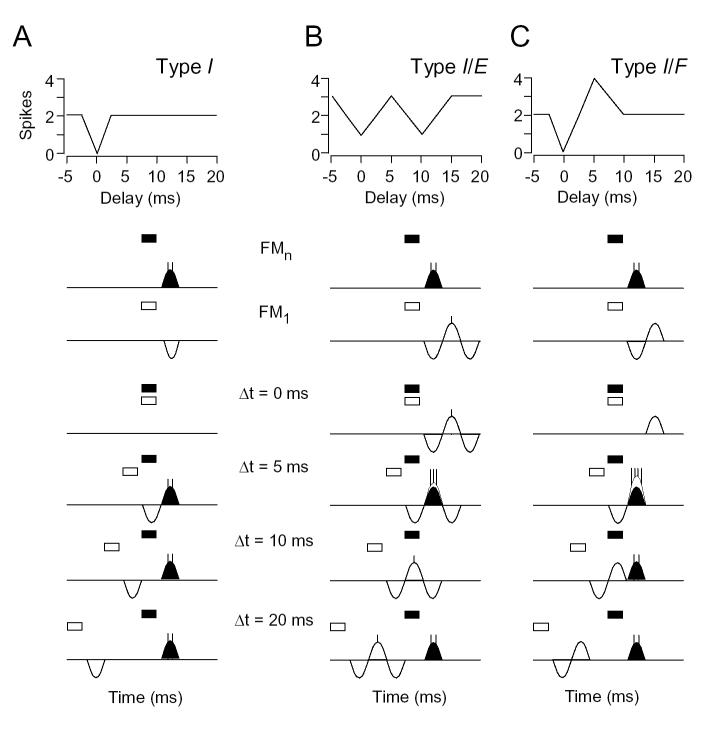 Fig. 10.