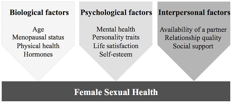 FIGURE 1