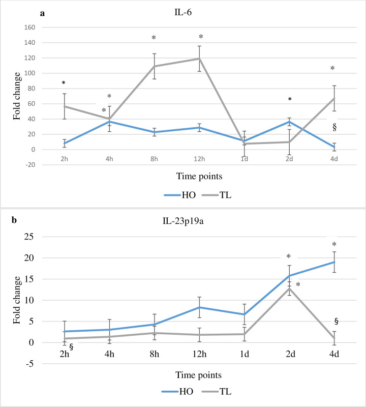 Fig 6