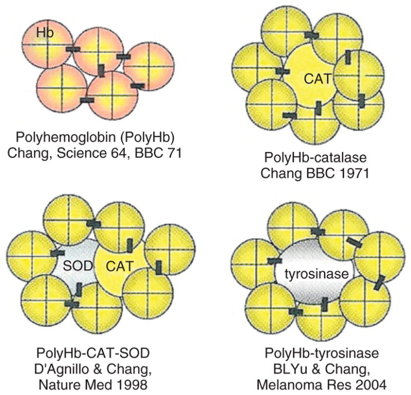 FIGURE 3