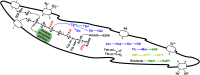 Fig. 4.
