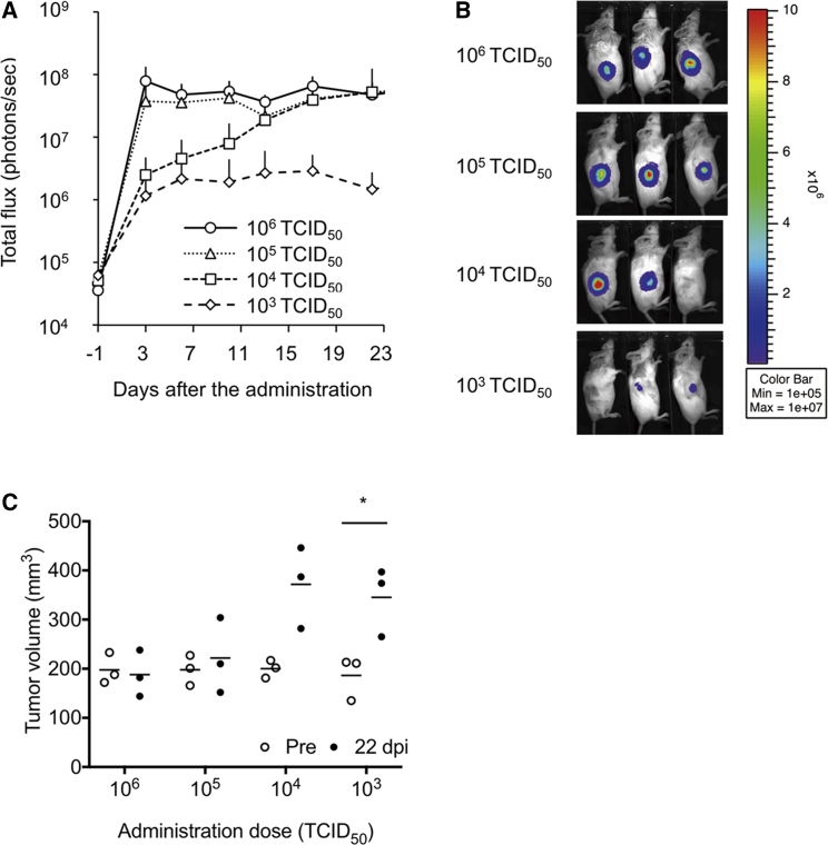 Figure 3