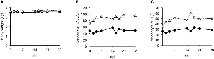 Figure 6