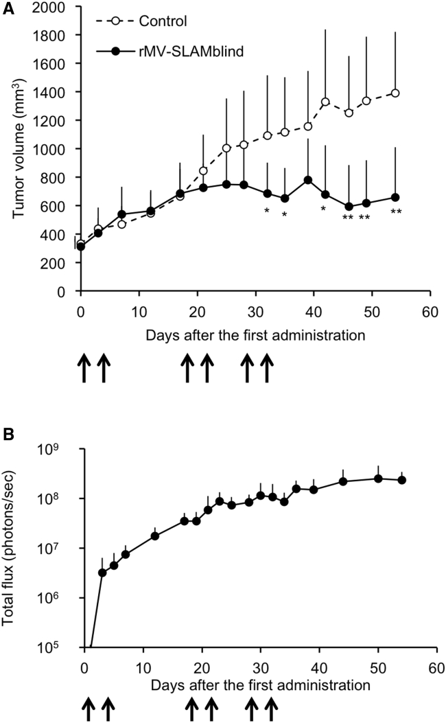 Figure 5