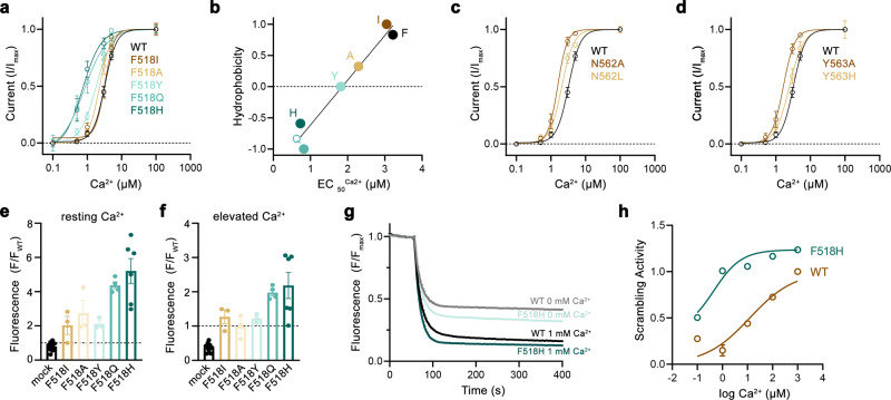 Fig. 2