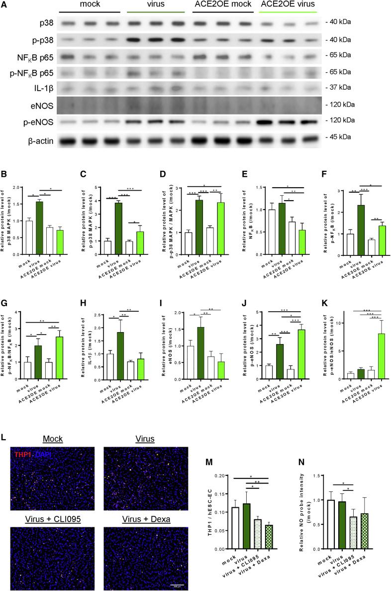 Figure 4