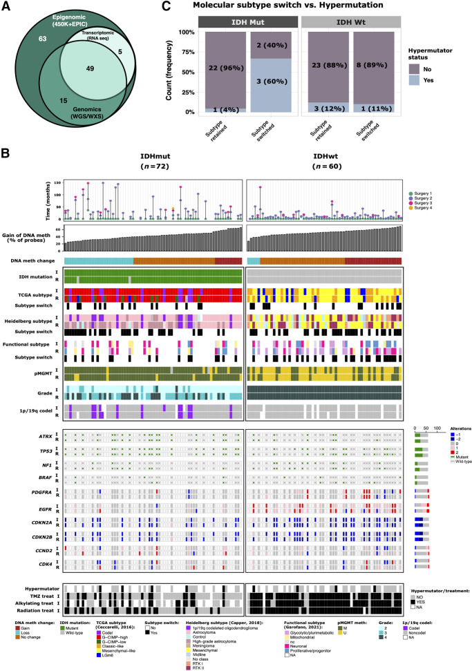 Figure 1. Epigenomic evolution of matched initial and recurrent gliomas. A, Venn diagram of number of patients who had DNA methylation, genomic (WGS/WXS), and/or RNA sequencing profiling. B, Clinical and molecular overview of matched initial and first recurrent DNA methylation cohort. Each column represents a single patient (N = 132) at two separate time points grouped by IDH status and ordered by increase of gain of DNA methylation at recurrent tumor from left to right. The gain of DNA methylation represents the percentage of probes that showed an increase of DNA methylation at recurrence. Top plot shows the surgical interval of each patient. C, Frequency of patients with hypermutator tumors that switched or retained molecular subtype at recurrence. Patients are distinguished by IDH status.