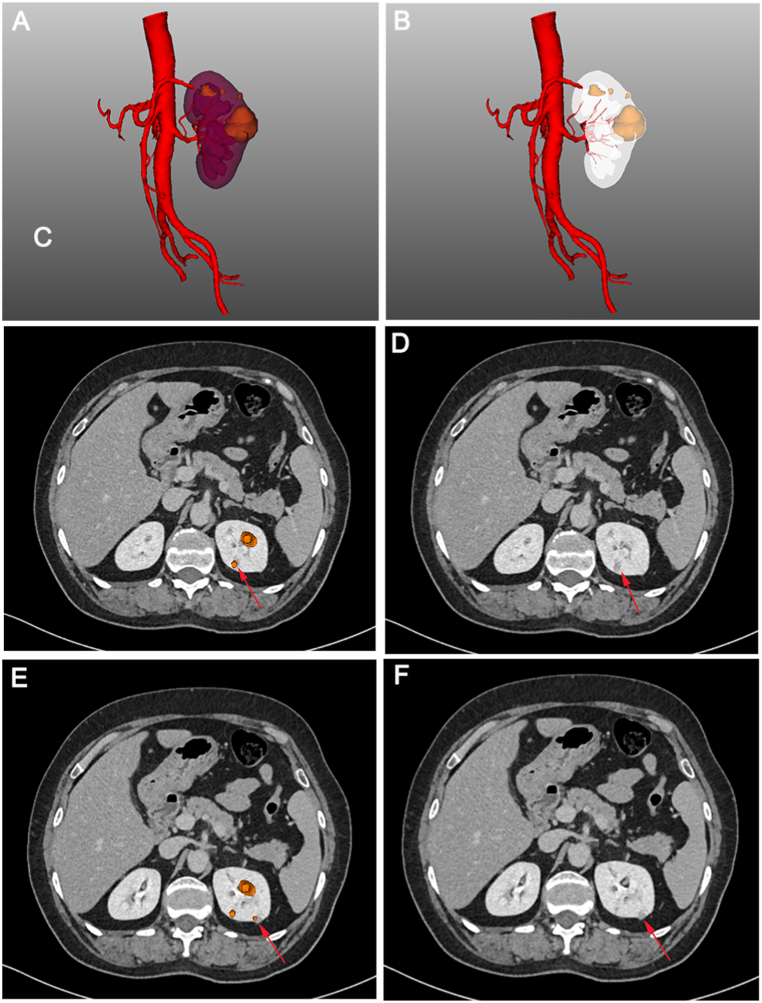 Fig. 10