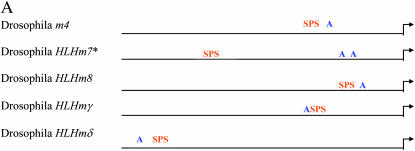 Figure 3.—