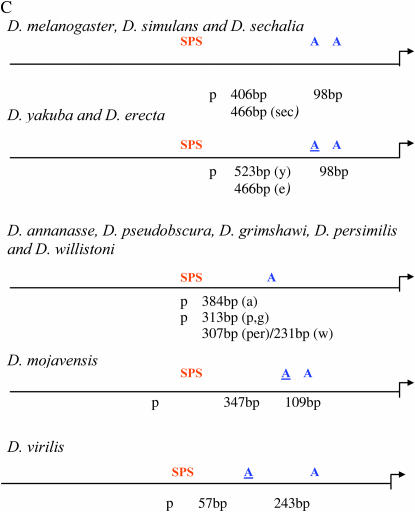 Figure 3.—