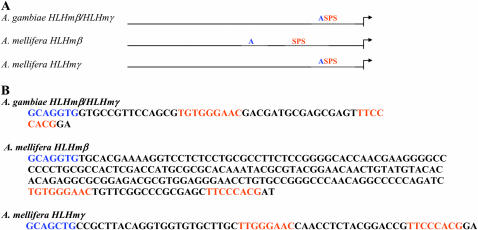 Figure 4.—