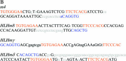 Figure 3.—