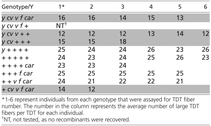 graphic file with name Image-02.jpg