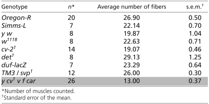 graphic file with name Image-01.jpg