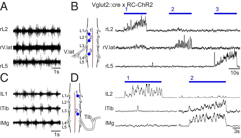 Fig. 6.