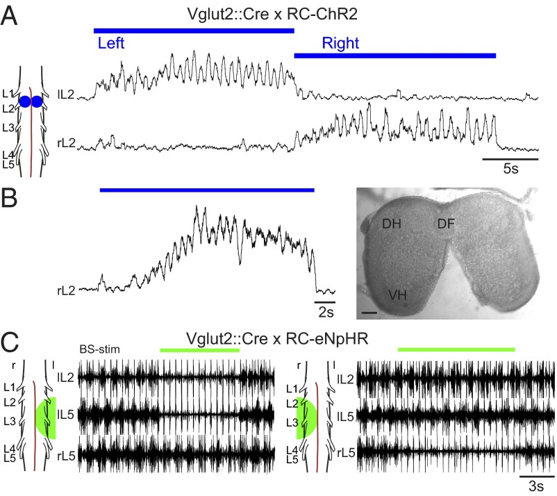 Fig. 3.