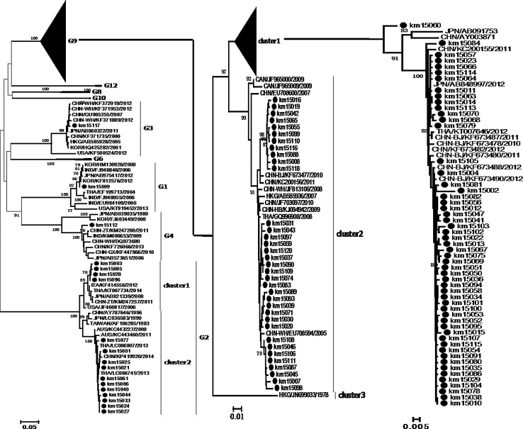 Fig. 1