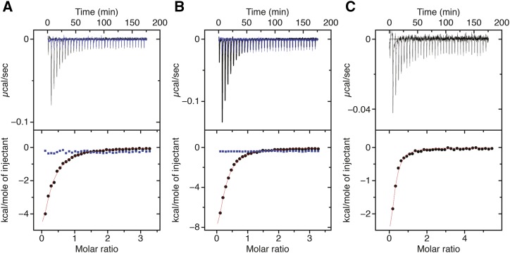 Figure 11.