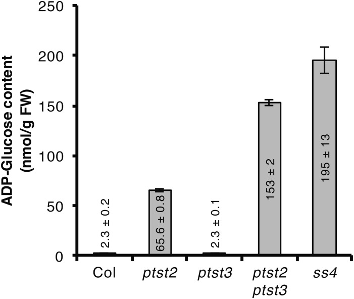 Figure 7.