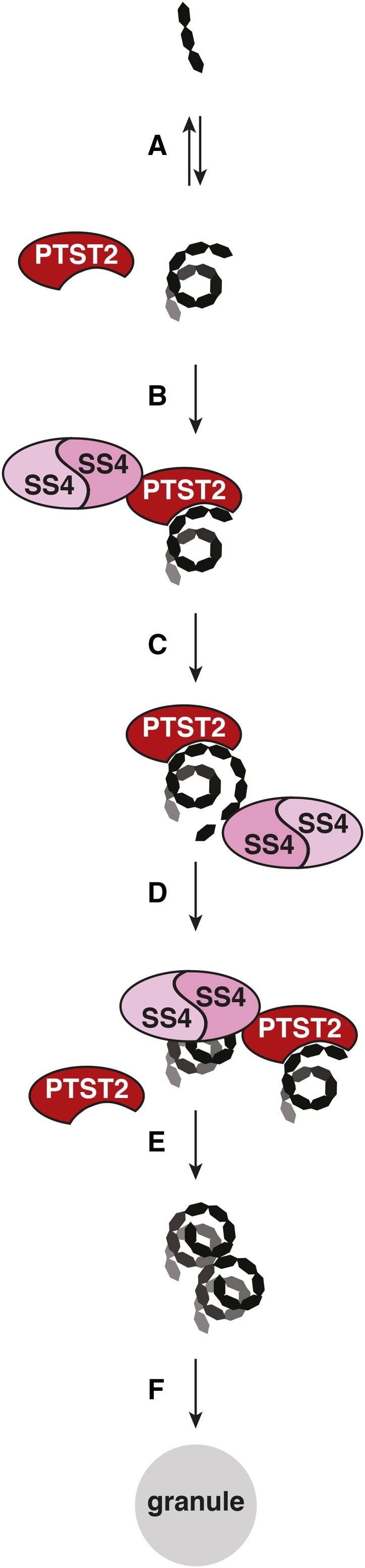 Figure 12.