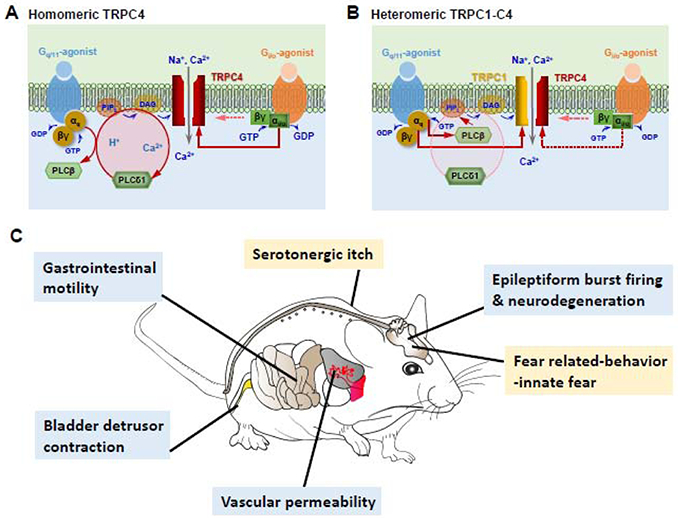 Figure 3.