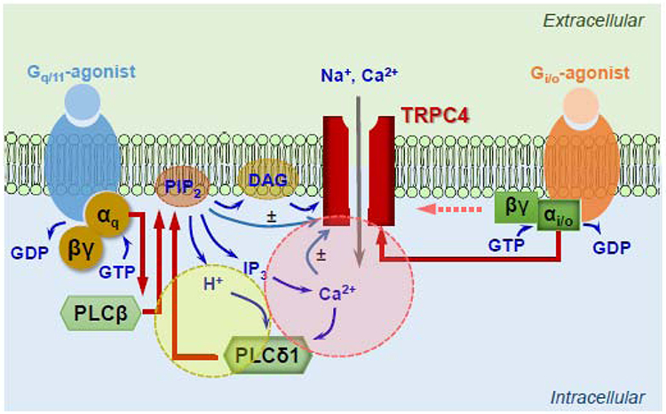 Figure 2.