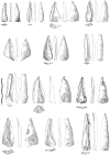 Fig 7