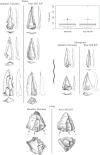 Fig 8
