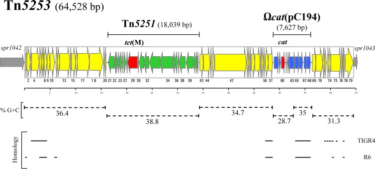 FIG 1