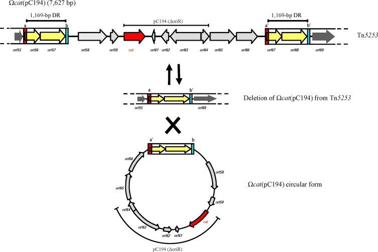 FIG 2