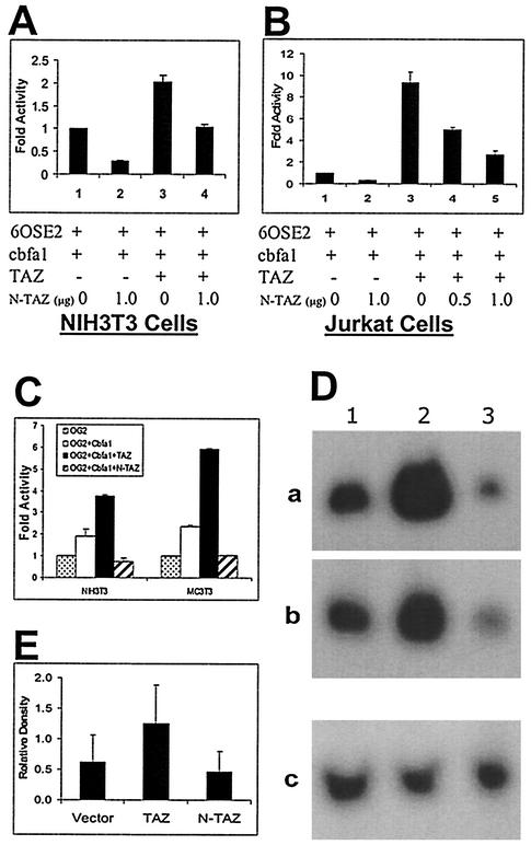 FIG. 3.