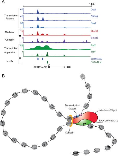 Figure 5