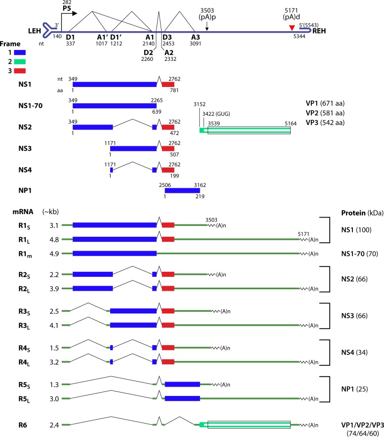 FIG 3