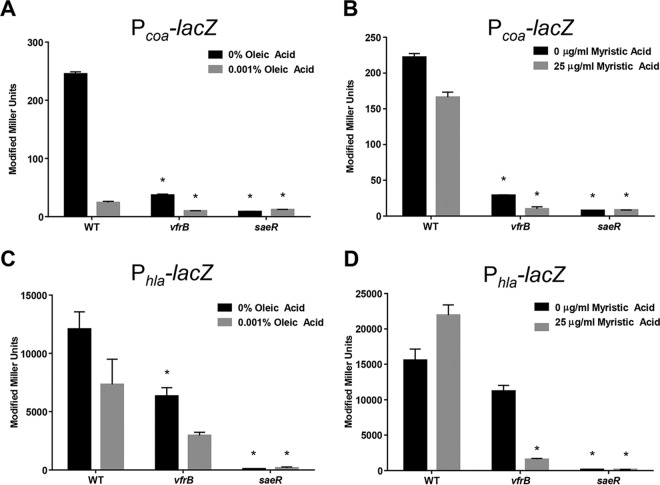 FIG 6