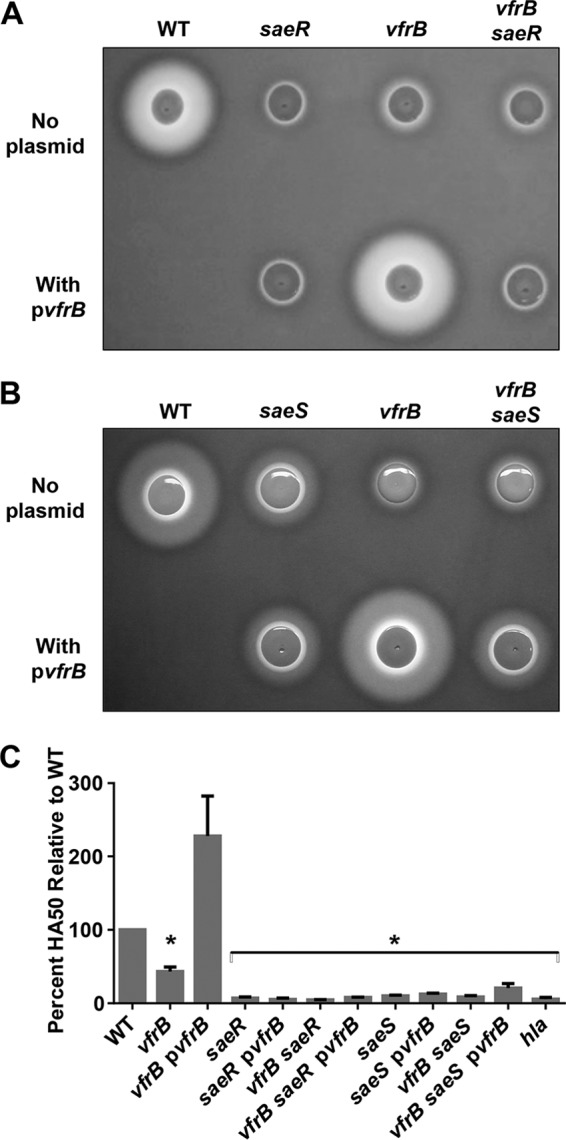 FIG 1